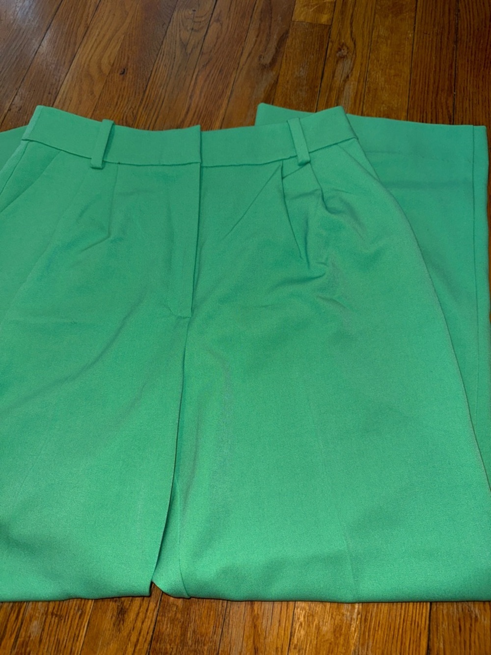 Favorite Daughter The Favorite pleated wide leg Pant in Green House Size 10 - Picture 6 of 7